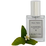 Flower Box Interior Perfume