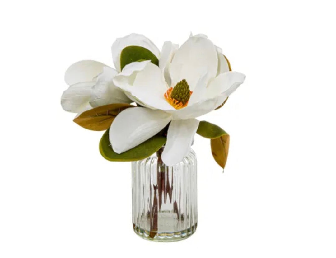 Magnolia in Glass Vase