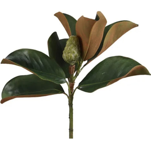 Magnolia Bud - 60cm