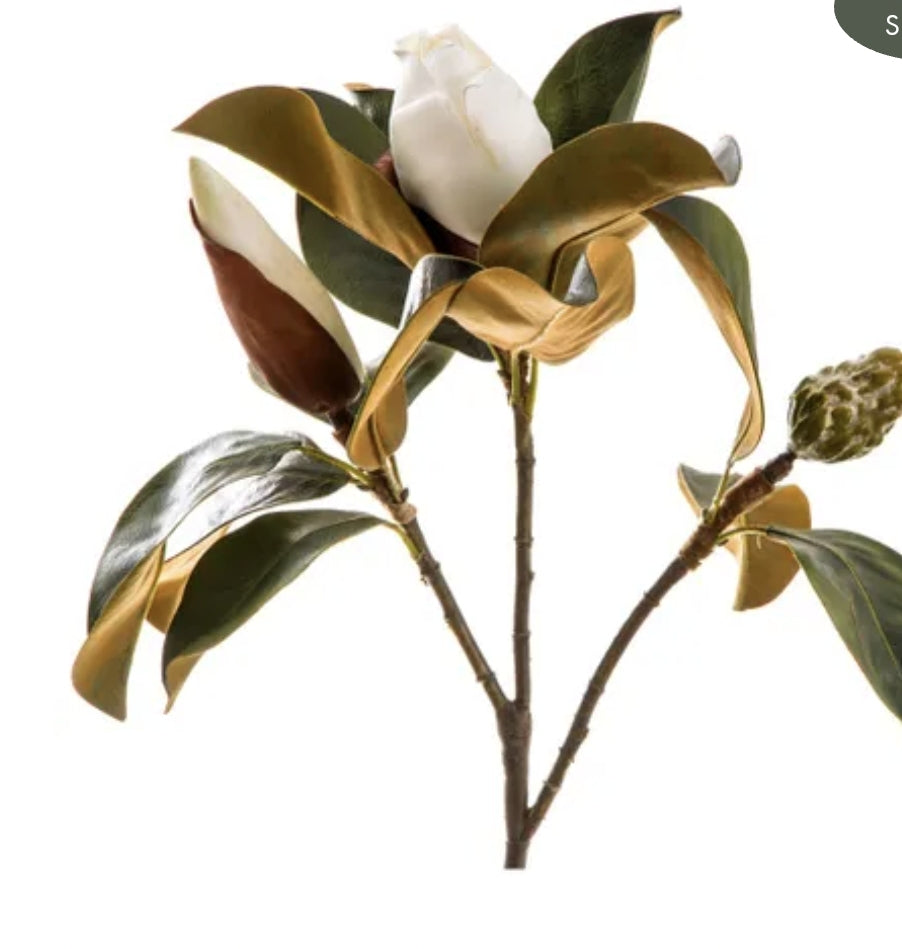 White Magnolia 60cm stem